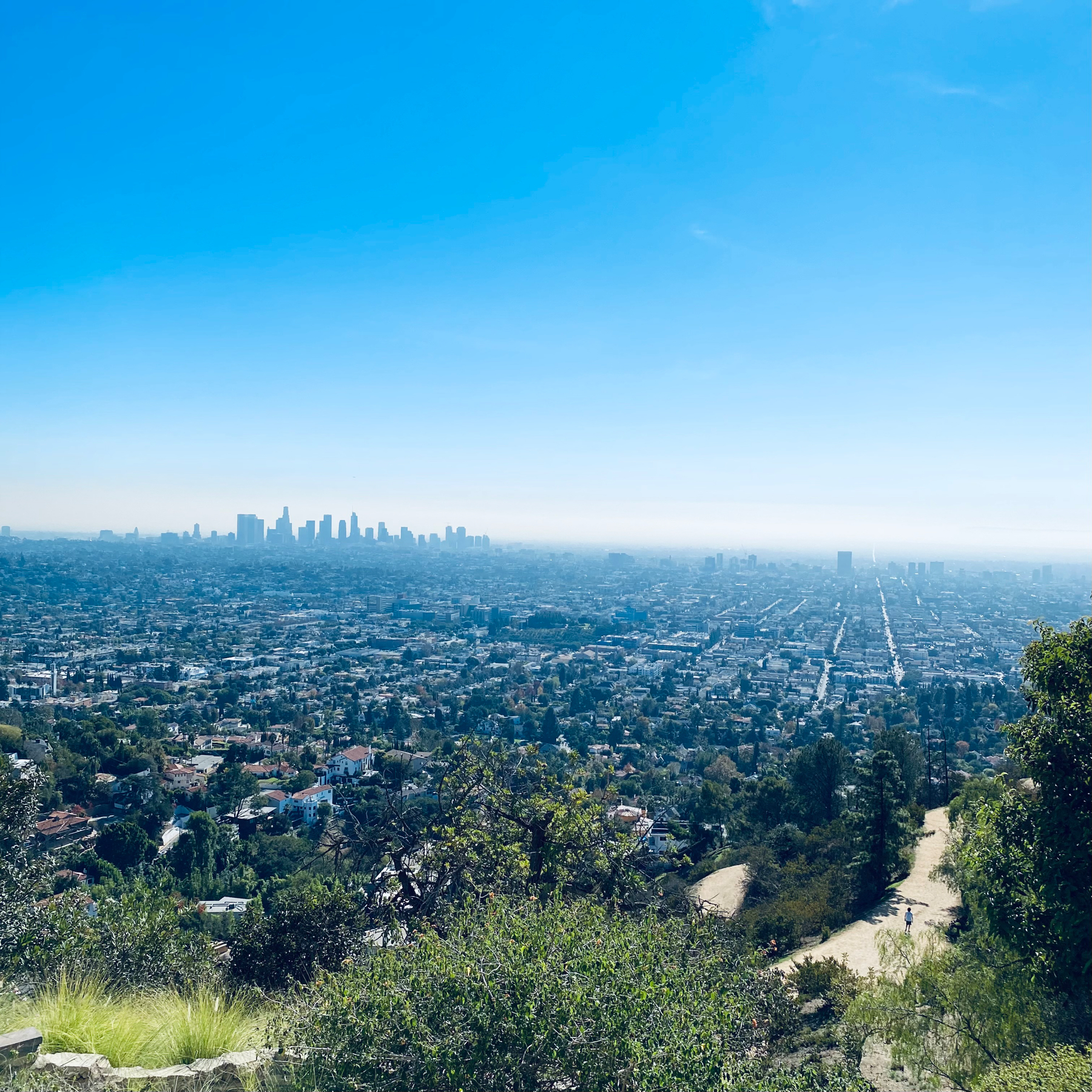 LA from Griffith Observatory
