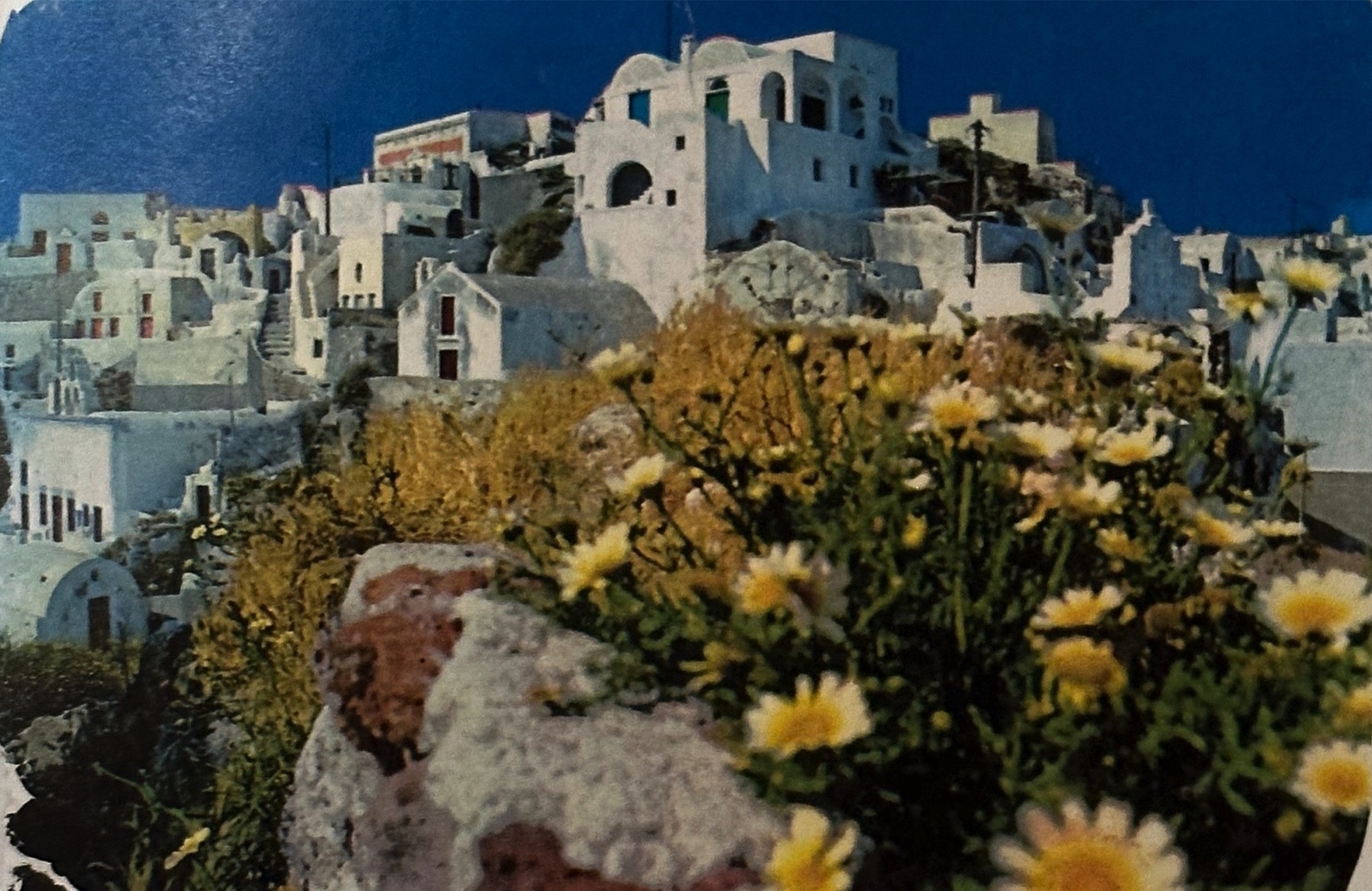 Buildings and flowers on an island in Greece.
