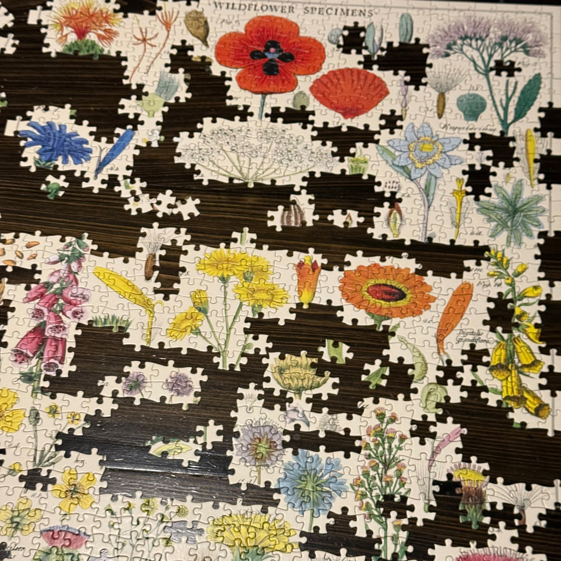 A partially completed jigsaw puzzle depicts various colorful wildflower illustrations.